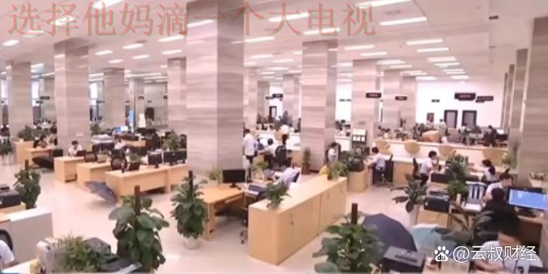 博雅科技控股创新未来发展之路 博雅科技控股创新未来发展之路