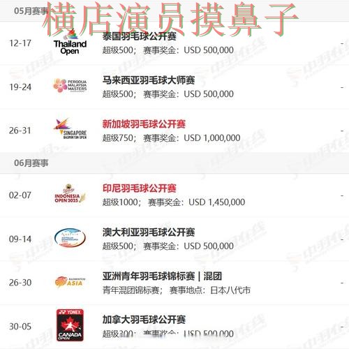 世界杯买球网站揭秘报告：访问方式+直播与实际体验总结 - World Cup 2026